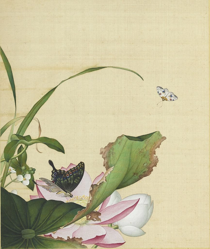 Fiori immortali in una primavera eterna - Fiori e farfalla, National Palace Museum in Taipei